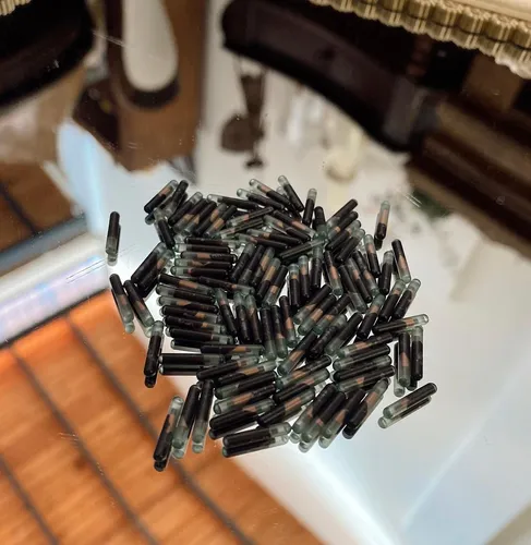Microchips Id Animal