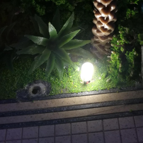 . 3 Paquete De 2-4 10pcs Bombilla Led 30 Centimetros