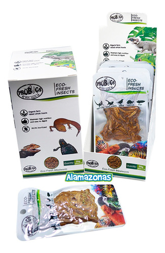 Pack 10 Tenebrio Gusanos Alimento Fresco Meal Worm Probugs