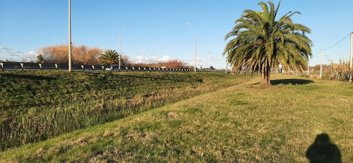 Imagen 11 de 13 de Se Vende Fracción De Campo Ruta 102 Y Melilla