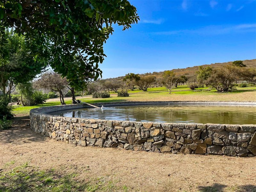 Sitio En Venta En Zapallar