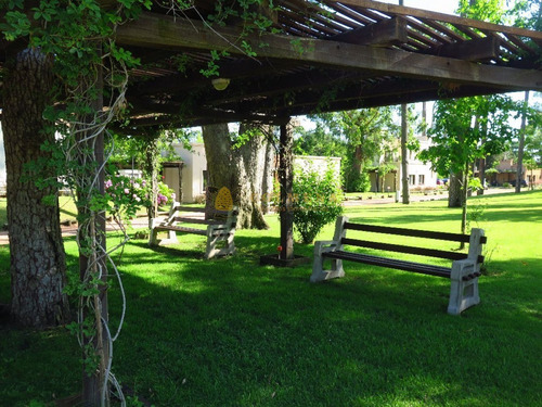 Casa En Pinares, 2 Dormitorios *- Ref: 379