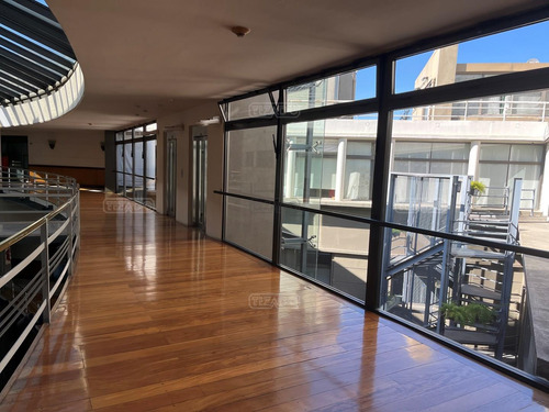 Imagen 5 de 30 de Departamento En Venta En Palermo Chico, Capital Federal, Buenos Aires