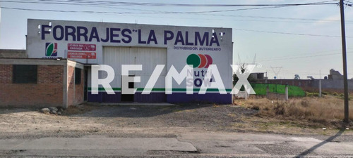 Bodega En Renta En Almoloye De Juárez