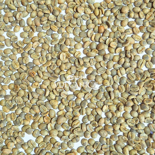 Café Arábica Grão Cru Região Vulcânica - Microlote 3kg