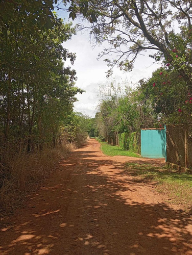 Sitio - Pereiras/sp - 12.000 Mil Metros - R$ 400.000,00