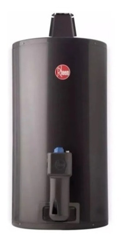 Termotanque Rheem Gas 80lts Colgar Inferior Tgnc080rh Digiya