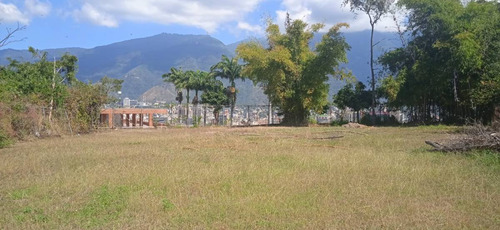 Amplio Terreno Plano En Colinas De Los Chaguaramos, Apto Para Ejecución De Proyecto De Viviendas Multifamiliares.