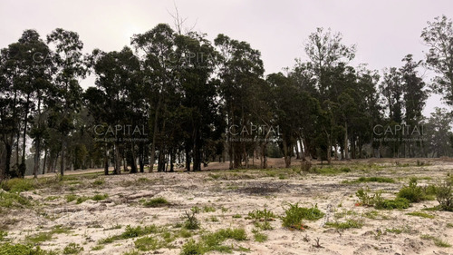 Terreno En Venta En Barrio Privado La Cañada - Distrito 52
