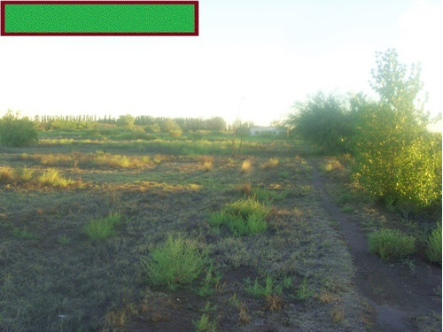 Imagen 8 de 11 de Finca 6,6ha Turistica Y Productiva Con Casa Sobre Ruta Nacional 188 Camino A Las Leñas Dueño Vende Permuta Chacra Buena Tierra Con Riego