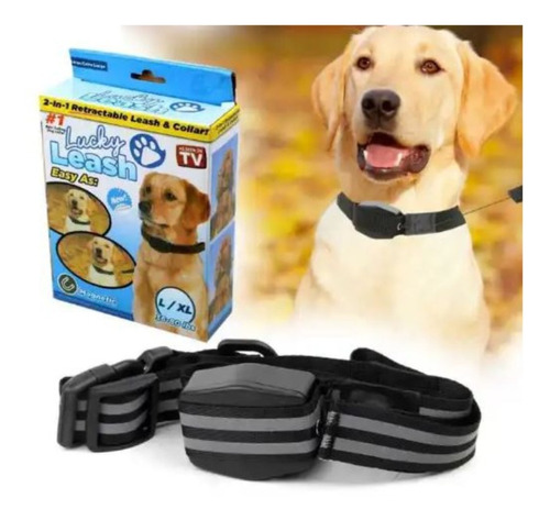 Collar Cuerda Retráctil Magnética Para Perro Cachorro