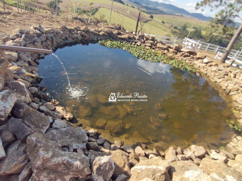 Imagem 6 de 24 de Chácara Com 3 Dormitórios À Venda, 22080 M² Por R$ 550.000,00 - Estância Santa Maria Do Laranjal - Atibaia/sp - Ch0012