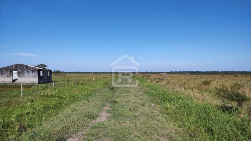 Imagem 26 de 30 de Fazenda Localizada Em Iguape- Sp Com 280 Alqueires - 262 - 71153412