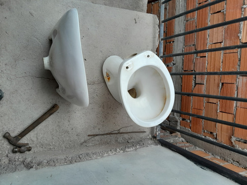 Vendo Inodoro Y Pileta