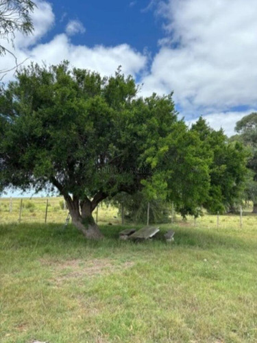 Campo Sobre Río Santa Lucía