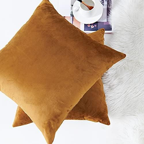 Lazzzy Funda De Almohada De Terciopelo Funda De Almohada Dec