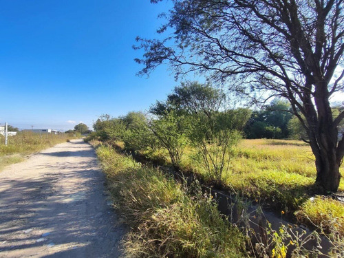 Terreno A Pie De Carretera 57, A La Altura De Pedro Escobedo