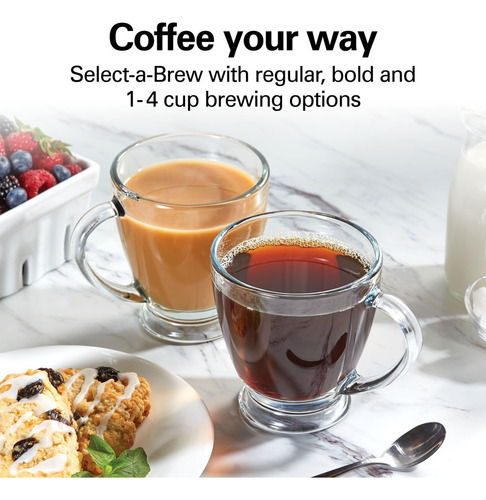 Cafetera Programable Hamilton Beach Brew 12 Tazas Renewed (Reacondicionado)