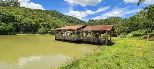 Sítio A Venda Em Brusque/sc - 1754c