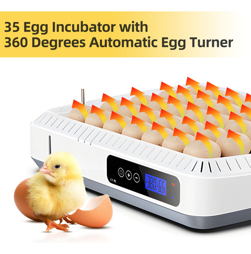 Incubadora Brooders Temperature Coop Con Pantalla De Pollo Y