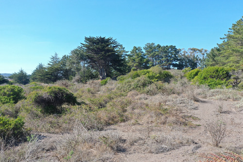 Desarrollo Inmobiliario Frente Al Mar En Punta De Lobos