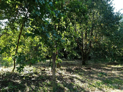 Terreno Para Venda, 622.5 M2, Guaratiba - Rio De Janeiro - 734