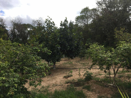 Área Com 36.000 Metros Em Mairinque Aceito Permuta
