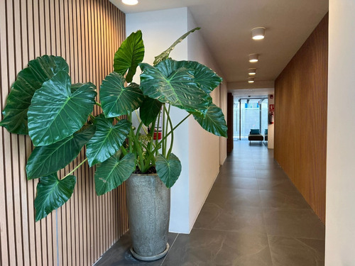 Imagen 7 de 10 de Venta Apartamento Monoambiente Pocitos Montevideo