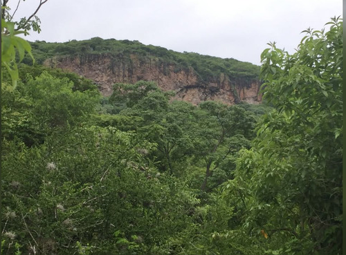 Excelente Predio En Ex Hacienda La Providencia Celaya Guanajuato