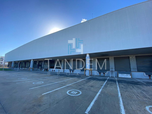 Imagen 4 de 8 de Predio Único 32.000 M2 Con Gran Playón Y Espectacular Galpón En Acc. Tigre Y 202, Sobre Autopista