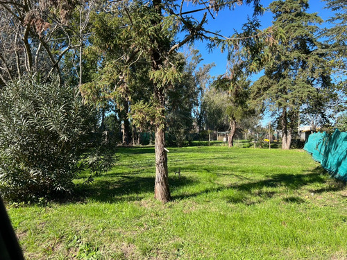 Lotes En Venta Con Excelente Ubicación Loma Verde Los Mandarinos Ii
