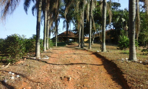 Imagem 2 de 9 de Chácara 28100m2, Rica Em Água Com Tanque Com Peixes, Casa Sede, Casa De Caseiro, 75% Plana, 80 Pés De Jabuticaba, 300 Pés De Limão, Piscina, Poço - Ch00242 - 70782605