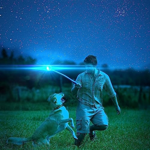Juguete para perros Chuckit Max Glow Ultra Squeaker Ball, color verde medio