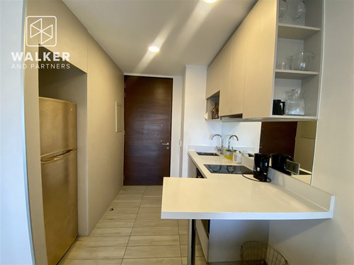 Departamento Estudio Amoblado A Pasos Metro Camino Agrícola