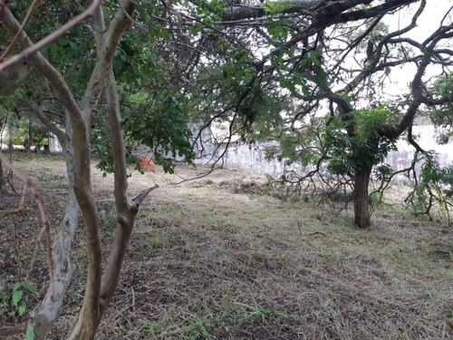 Imagem 1 de 6 de Terreno À Venda, 324 M² Por R$ 345.000,00 - Jardim Dona Donata - Jundiaí/sp - Te0415