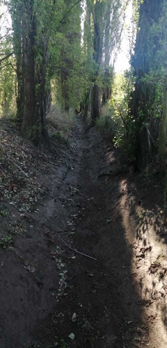 Imagen 7 de 10 de Finca 22 Hectarias En Colonia Elena San Rafael