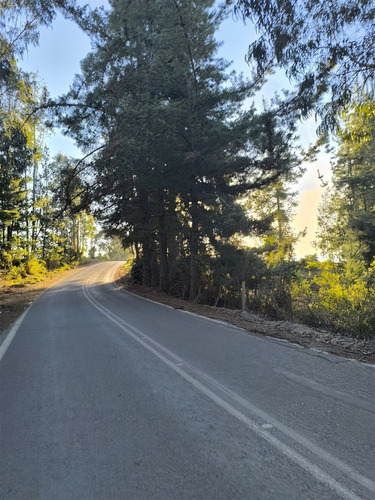 Parcelas Planas En Pichilemu, Orilla De Asfalto.