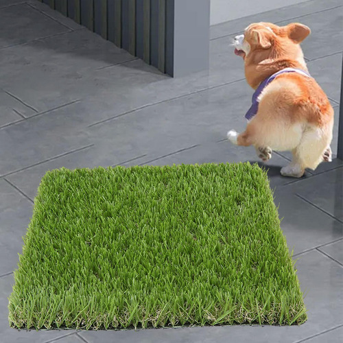 Almohadilla Para Orinar Para Perros, Tapete 3 Cm De Altura
