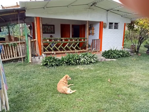 Se Vende Finca Alcalá Valle Del Cauca 