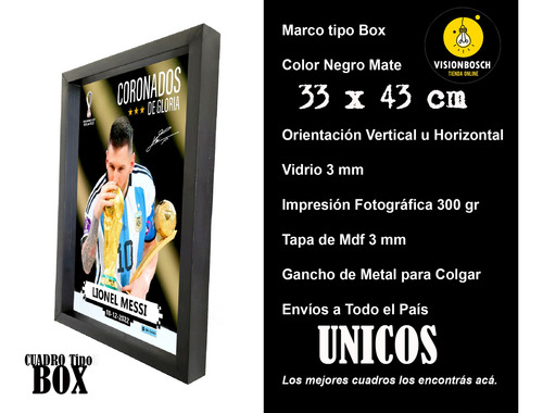 Cuadro Decorativo El Gato Silvestre Comic Marco Tipo Box M1