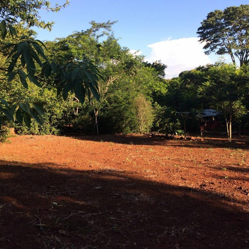 Imagem 8 de 23 de Chácara Com 4 Dormitórios À Venda, 9000 M² Por R$ 750.000,00 - Aparecidinha - Santa Terezinha De Itaipu/pr - Ch0024