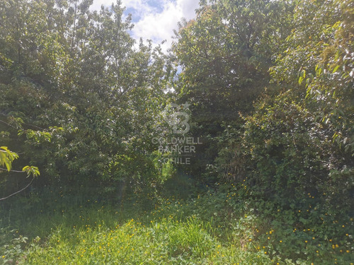 Terreno Comercial En Puerto Varas, Ubicación Privilegiada