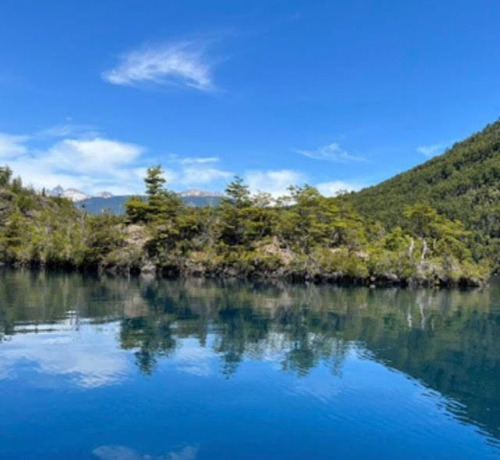 Isla Privada En Venta Sur De Chile 5ha 2 Casas