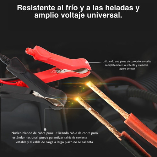 Imagen 6 de 10 de Cargador Rapido Bateria Auto Automatico 110 V A 220 V A 12 V