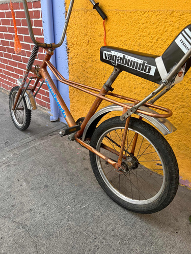 Bicicleta Vagabundo