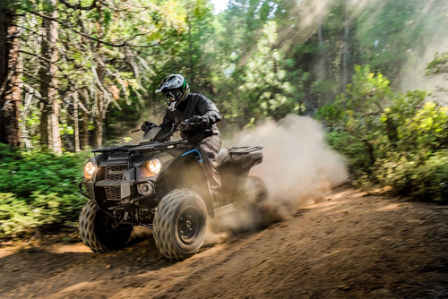 Imagen 6 de 25 de Kawasaki Brute Force 300 2022