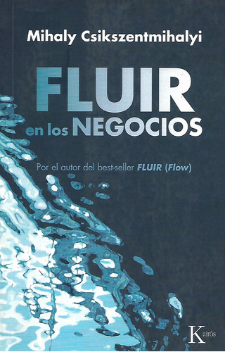 Libro Fluir En Los Negocios