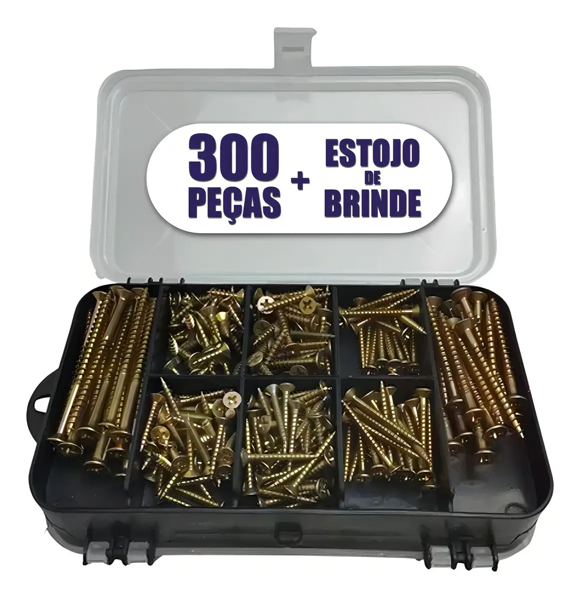 Kit 300 Parafusos Chipboard Philips, Buchas e Maleta