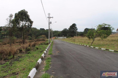 Imagem 7 de 10 de Terreno À Venda, 250 M² Te0003 - Ai15