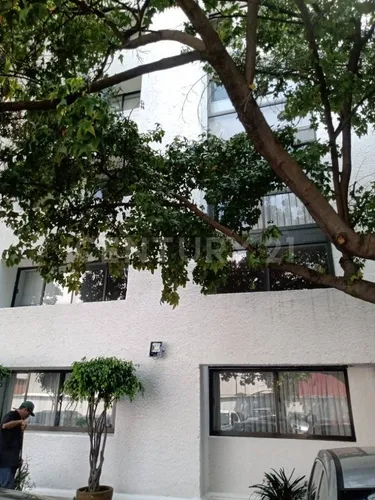 Departamento En Renta En San Lucas Coyoacán , Miguel Ángel De Quevedo | Metros Cúbicos Departamento En Renta En San Lucas Coyoacán , Miguel Ángel De Quevedo | Metros Cúbicos